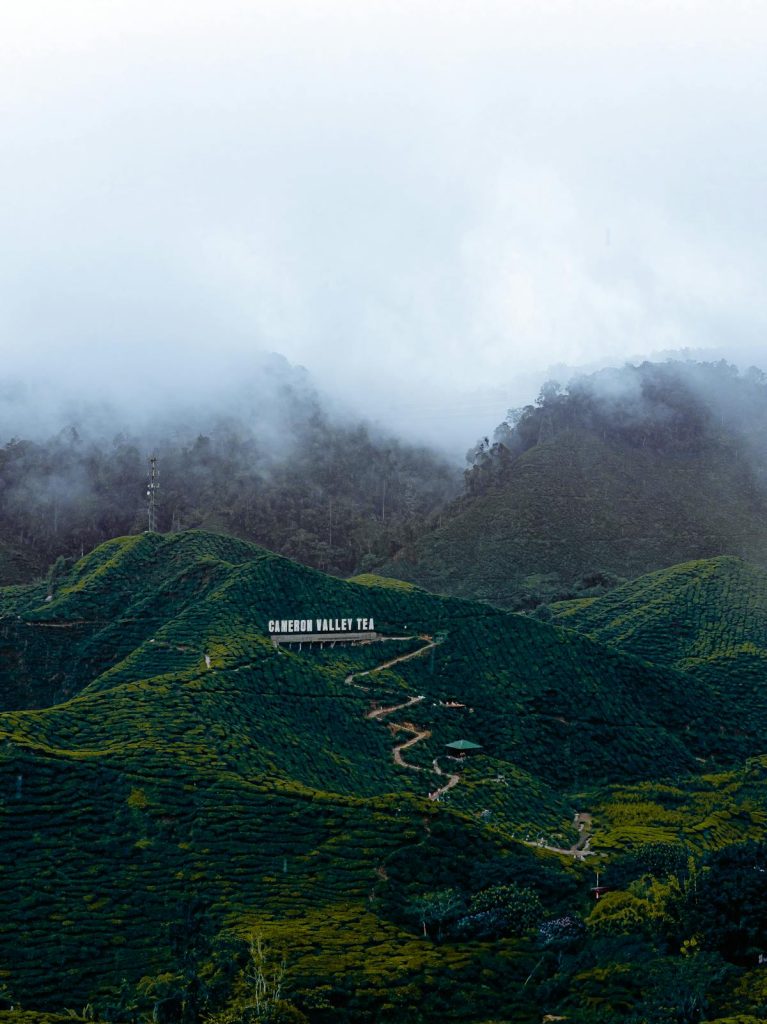 Cameron Highlands Valley View